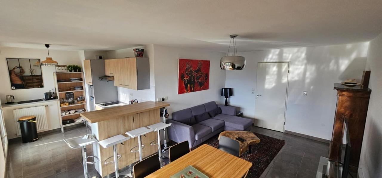 Appartement Coeur Toulousain Avec 2 Chambres Toulouse Exteriér fotografie